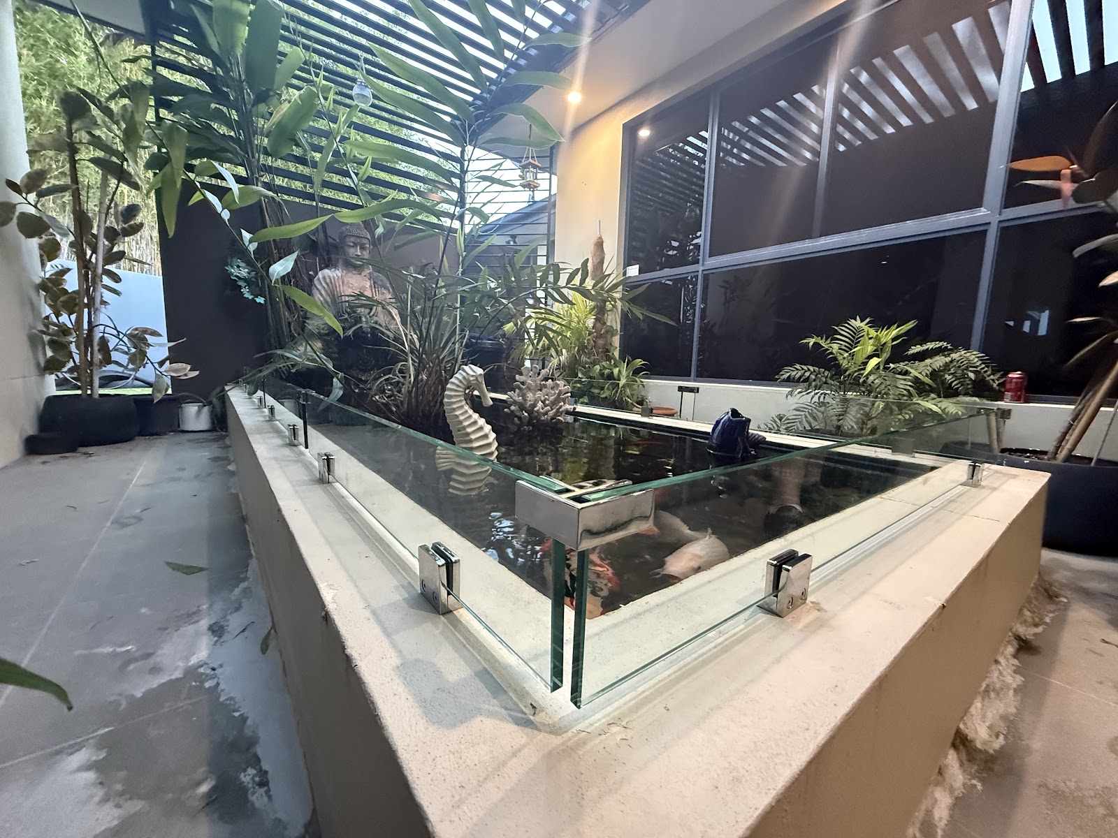 Raised koi pond wrapped in a frameless glass surround