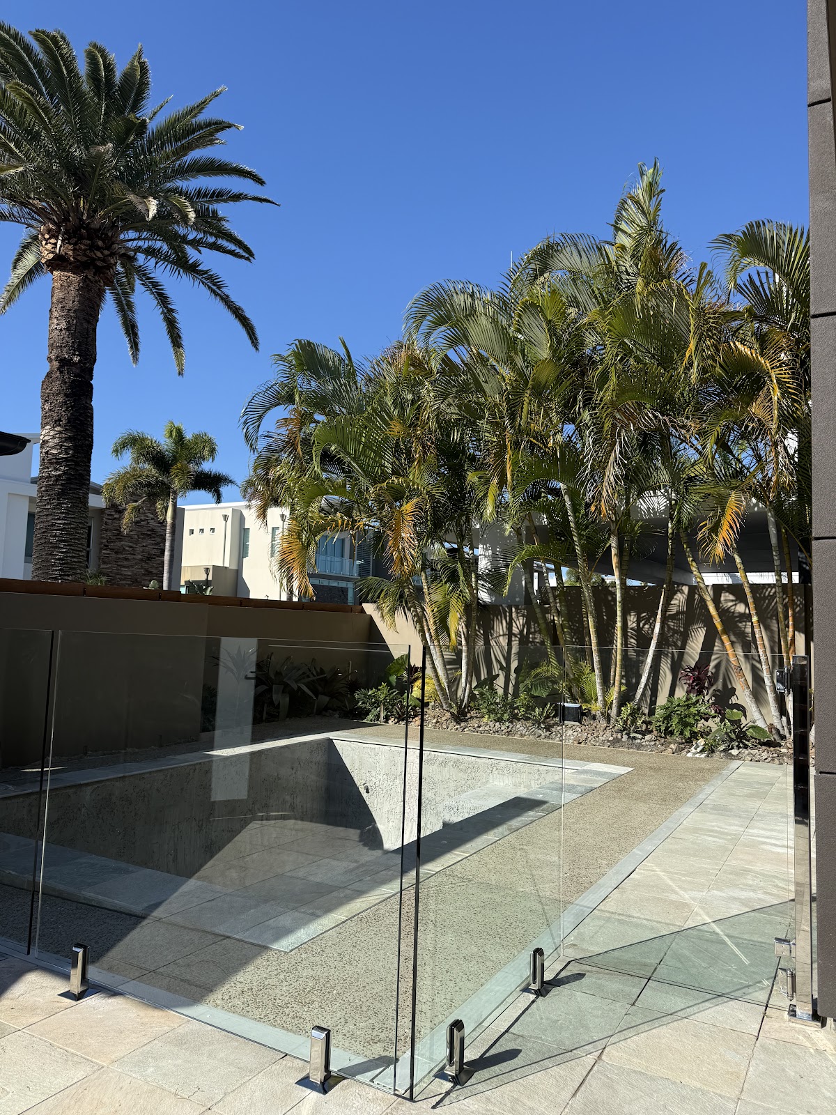 Frameless glass pool fence with black spigots beneath tall palms